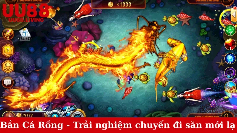 Bắn Cá Rồng