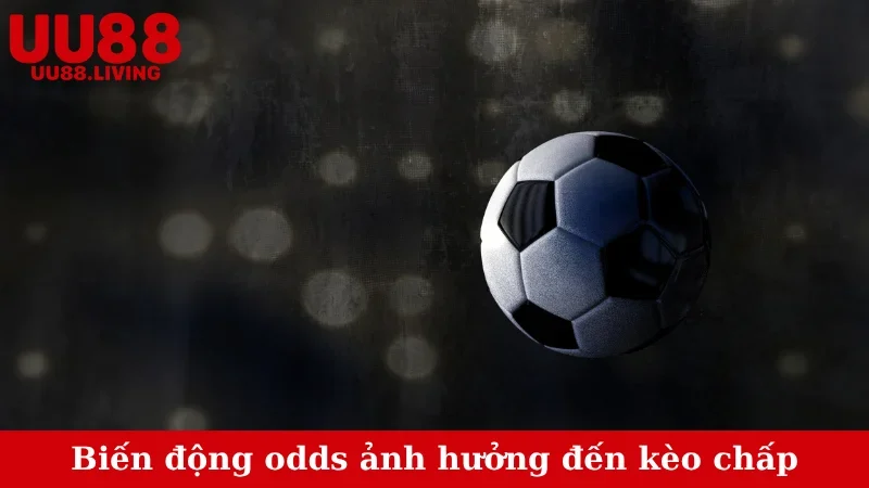 Biến động odds ảnh hưởng đến kèo chấp