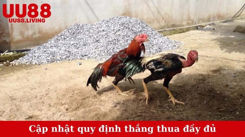 Cập nhật quy định thắng thua đầy đủ