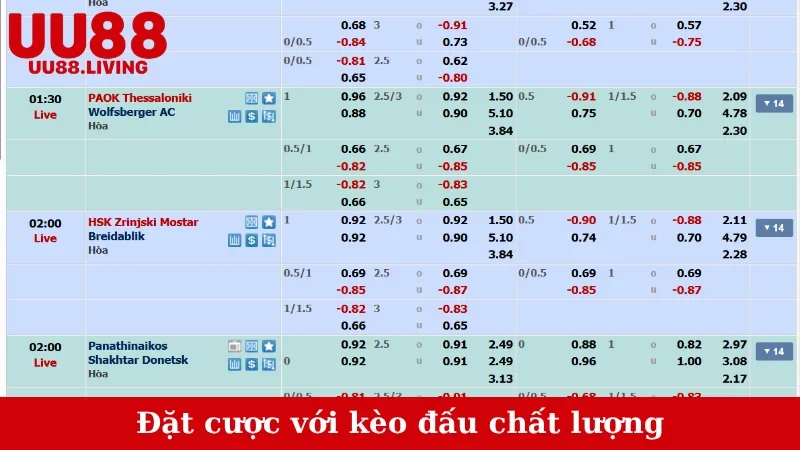 Đặt cược với kèo đấu chất lượng