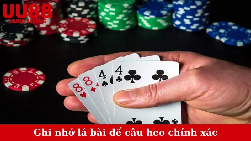 Ghi nhớ lá bài để câu heo chính xác