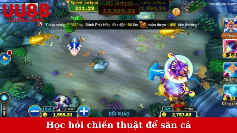 Học hỏi chiến thuật để săn cá