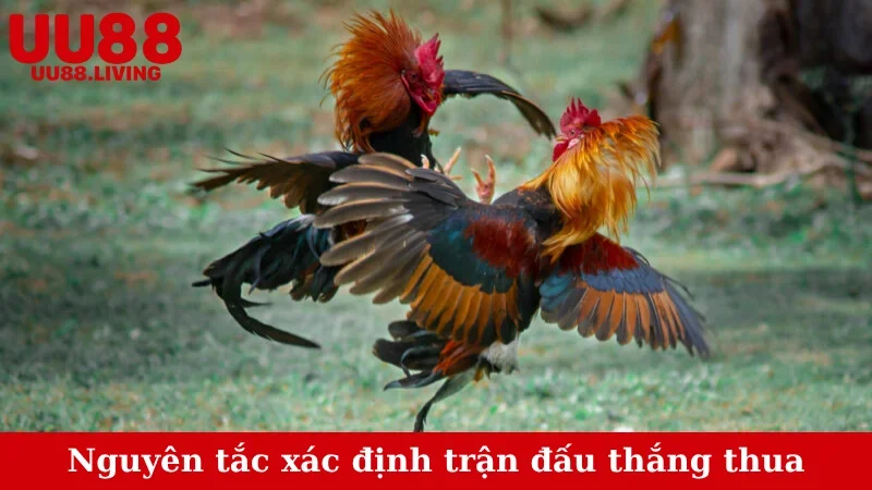 Nguyên tắc xác định trận đấu thắng thua
