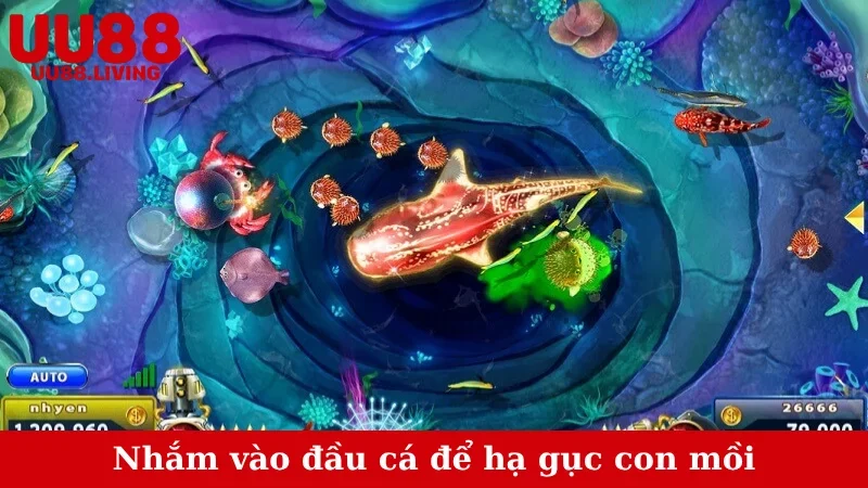 Nhắm vào đầu cá để hạ gục con mồi