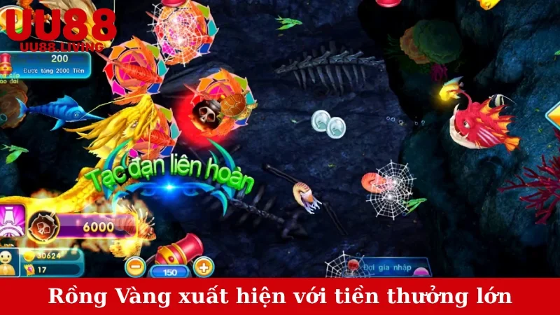 Rồng Vàng xuất hiện với tiền thưởng lớn