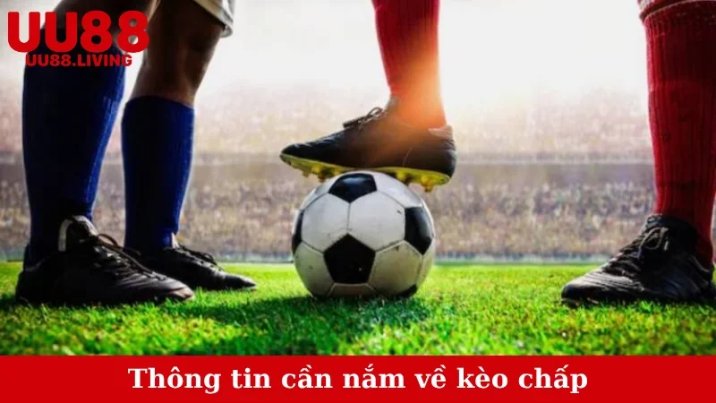 Thông tin cần nắm về kèo chấp