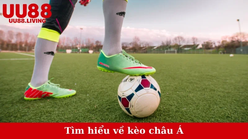 Tìm hiểu về kèo châu Á